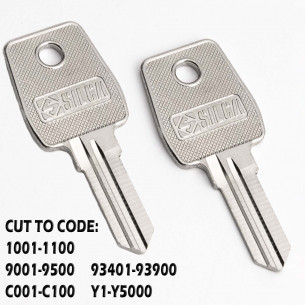 2x Clé Eurolocks pour Classeurs, Boîtes aux Lettres, Serrures de Meubles, Codes 9001-9500 etc.